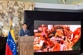 ASEAN Day 2022 organised in Venezuela 