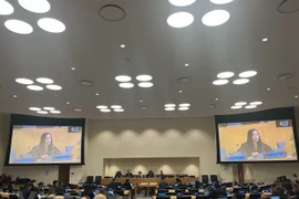 Vietnam calls for budget guarantee for UN development system
