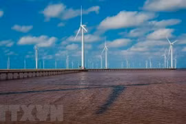 World Bank builds offshore wind roadmap for Vietnam
