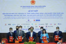 Dien Bien province, Korean partners cooperate in different fields