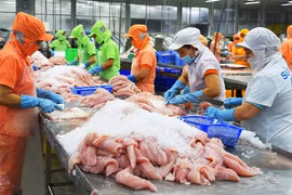 Vietnamese tra fish sector likely to enter new development cycle 