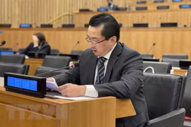 UN Charter important basis for int’l community’s actions: Vietnamese Ambassador