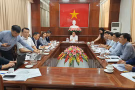 Can Tho welcomes RoK hydrogen project