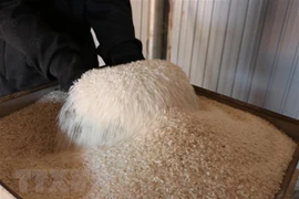 Vietnamese rice contest names winners