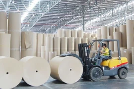 Paper industry expects to maintain high growth momentum