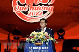Diplomatic achievements show Party and State’s clear-sighted foreign policy: minister