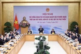 Vietnam facilitates foreign firms’ investment activities: PM 