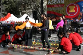 Vietnam joins ASEAN bazaar in Argentina
