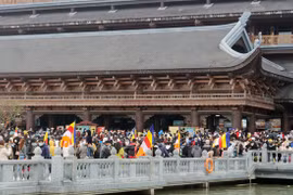 Tourism companies recover thanks to restructuring