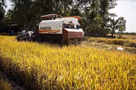 Vietnam eyes double investment in agriculture to 34 billion USD by 2030