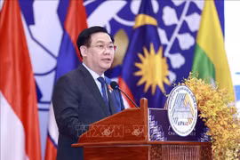 Vietnam’s parliament to make efforts for commitments, resolutions passed at AIPA-43