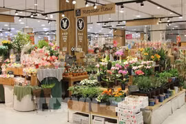 Japan – a "laissez-passer" for Vietnamese goods to global markets: official