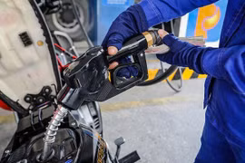 Rising oil and gas prices would put brake on economy: expert