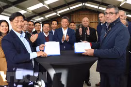 Hanoi, Belgium’s Wallonia develop 3B bull breed
