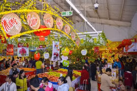 State promotes stablisation of goods prices during Lunar New Year 2023