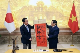 Vietnam-Japan: warm, sincere, trustful relationship