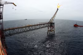 Comprehensive revisions needed for Petroleum Law