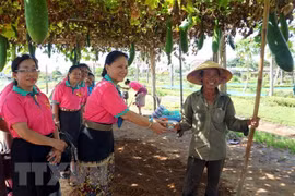 Laos - Vietnam relations increasingly intensified: Vientiane Times