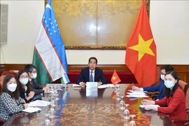 Vietnam, Uzbekistan hold deputy ministerial-level political consultation