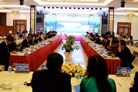 Gia Lai introduces strengths, potential to foreign partners
