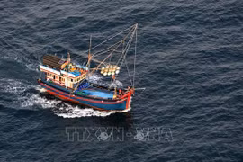 IUU fishing combat requires joint efforts of all coastal localities