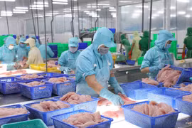 Tra fish exports to UK soar six-fold