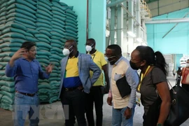 Gabonese trade minister explores rice production in Long An