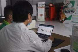 Online marketplaces bustling as Tet nears