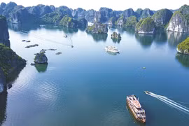 Cat Ba island, the 'pearl' of the north for tourists