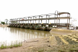 Mekong Delta authorities take measures to secure freshwater in upcoming dry season
