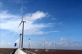 Ministry seeks GWEC’s support for realisation of 2050 net zero target