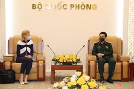 Vietnam, France eye stronger defence ties