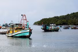 Fishery sector takes various measures to get EC yellow card removed