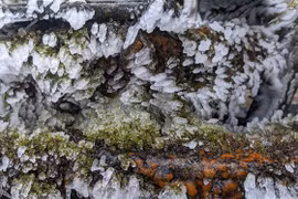 Cao Bang: Frost covers top of Mount Phja Oac