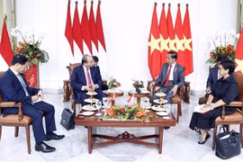 Vietnamese President holds talks with Indonesian counterpart