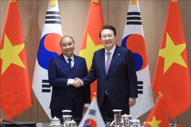 Vietnamese, RoK Presidents hold talks