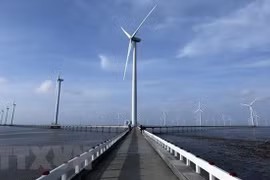 Vietnam seeks US investment in renewable energy