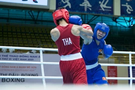 Thailand takes lead in SEA Games 31 boxing