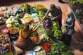 UNDP, Indonesia partner to advance SDGs in private sector