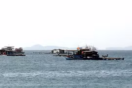 Kien Giang province’s aquaculture output increases