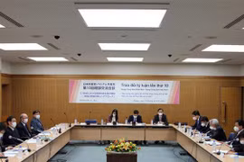 Vietnamese, Japanese communist parties hold theoretical exchange 