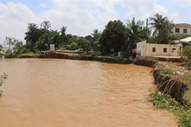 Dong Thap faces increasing erosion