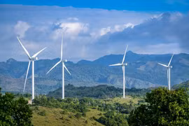 Vietnam faces challenges in ensuring sustainable development: insiders