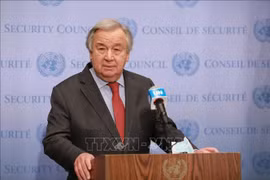 Vietnam supports reforms to make UN stronger, more effective