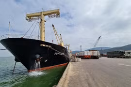 New-generation FTAs have positive effects on Binh Dinh's exports