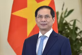 Vietnam ready to contribute more to UN peacekeeping operations: minister