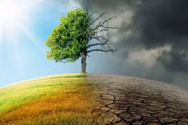 World Meteorological Day 2022 stresses role of early warning, early action 