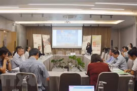 Seminar looks to promote Dak Lak as elephant-friendly destination