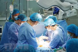 Vietnam successfully grafts skin from brain-dead donor for first time