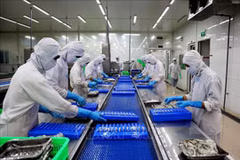 Vietnam’s agricultural sector posts record high growth in 2022